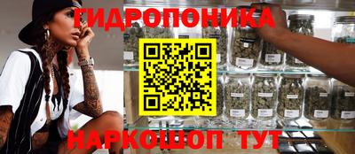 бошки Будённовск